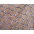 hexagnal wire mesh